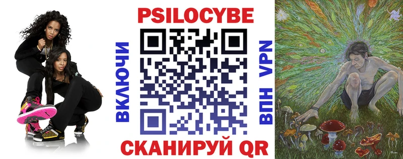 MEGA сайт  цена   Судак  Псилоцибиновые грибы Cubensis 