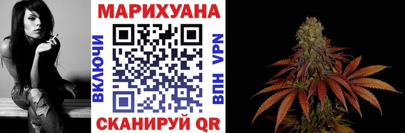 Каннабис ГИДРОПОН  продажа наркотиков  Судак 